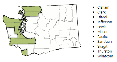 Western Washington Region